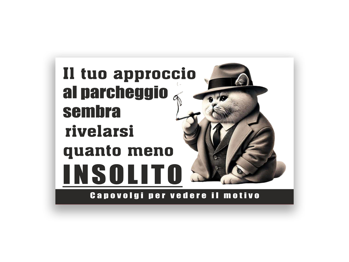 Biglietti INCAPACE a parcheggiare... con classe